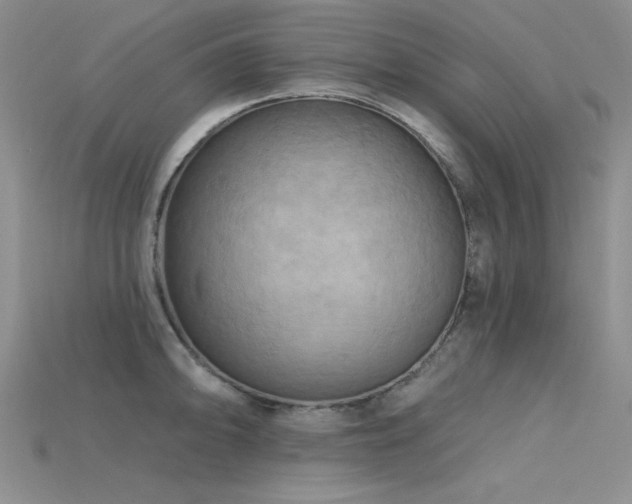 X0000115791094200911131303
