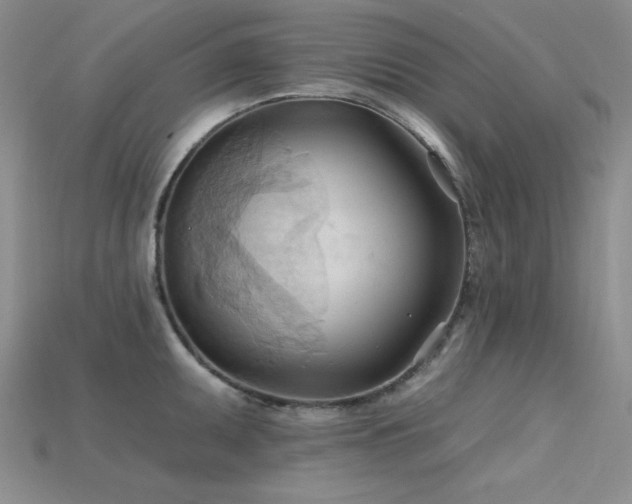 X0000115791095200911131303
