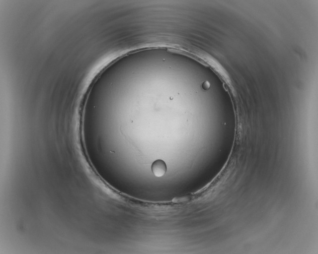 X0000115791096200911131303