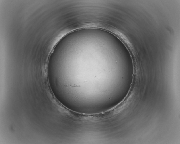 X0000115791097200911131303