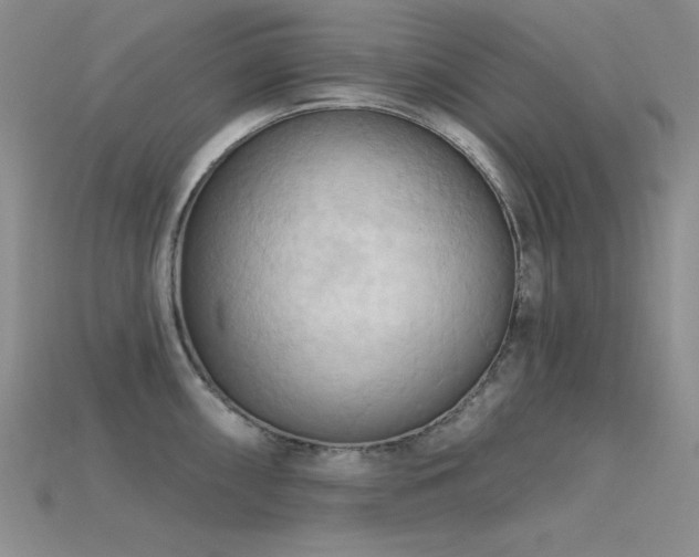 X0000115791098200911131303