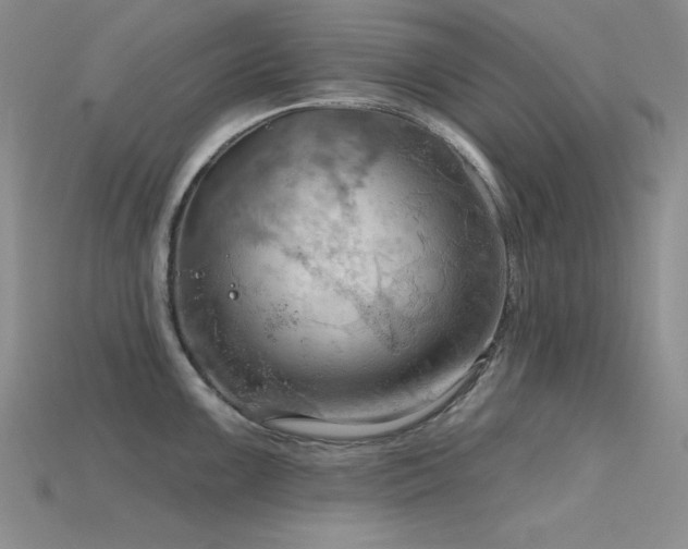 X0000115791099200911131303
