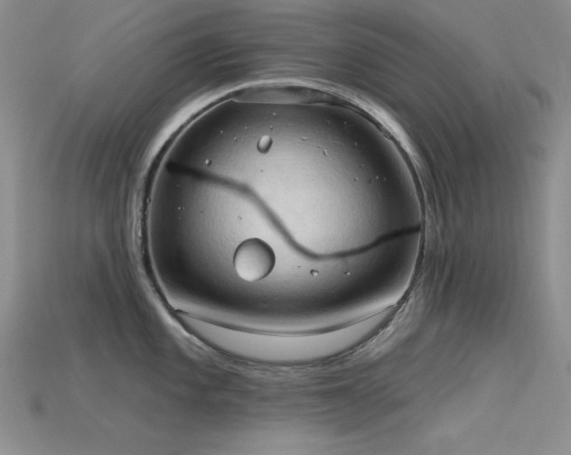 X0000115791101200911131303