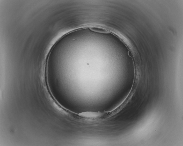 X0000115791102200911131303