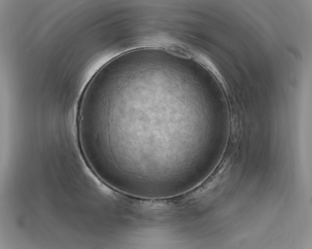 X0000115791103200911131303