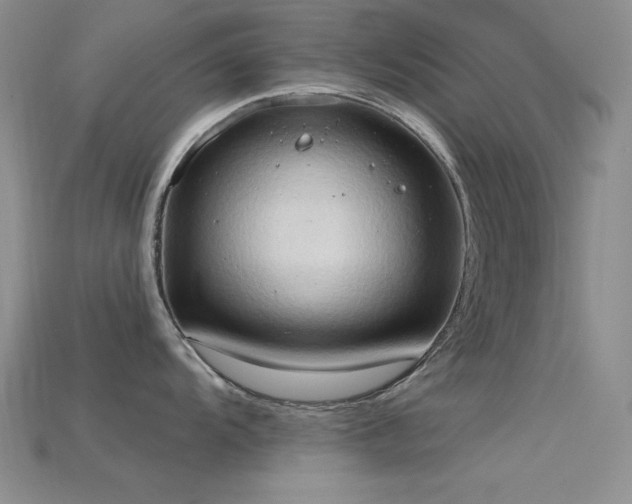 X0000115791104200911131303