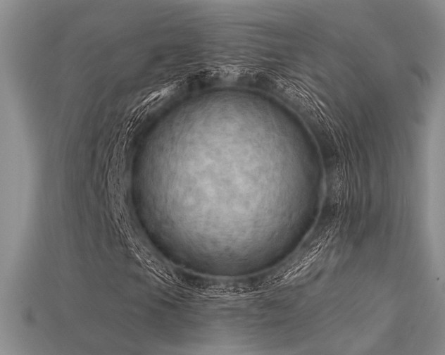 X0000115791105200911131302