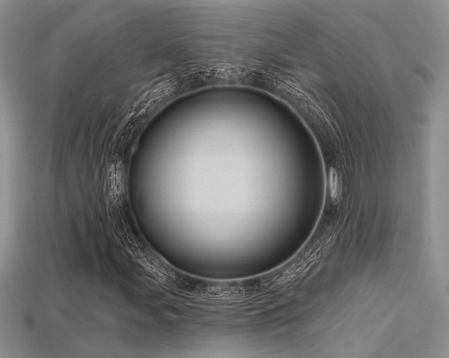 X0000115791107200911131302