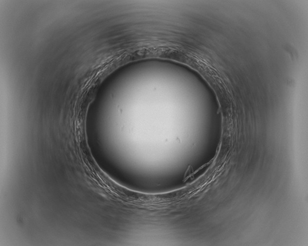 X0000115791109200911131302
