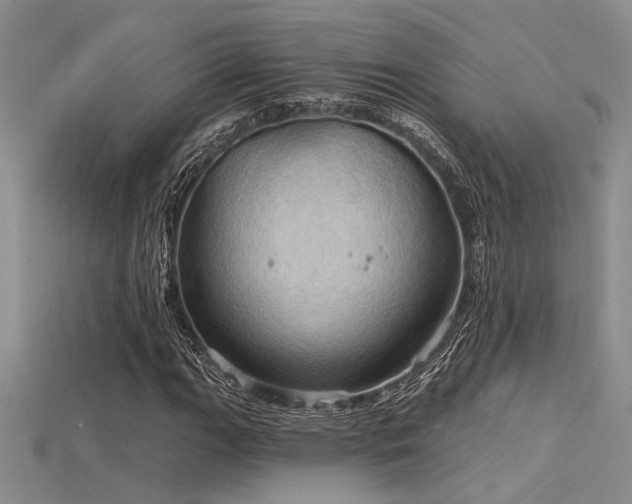 X0000115791111200911131302