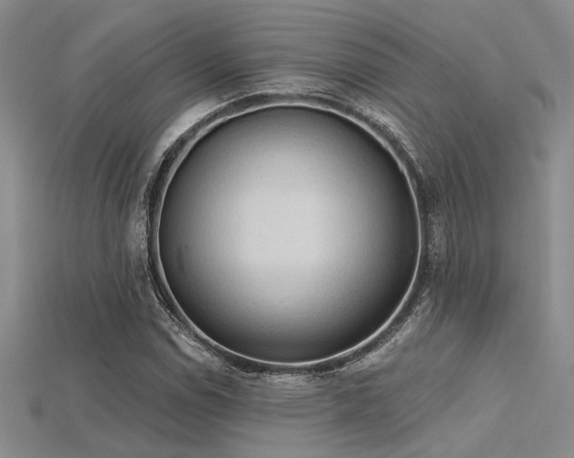 X0000115791114200911131302