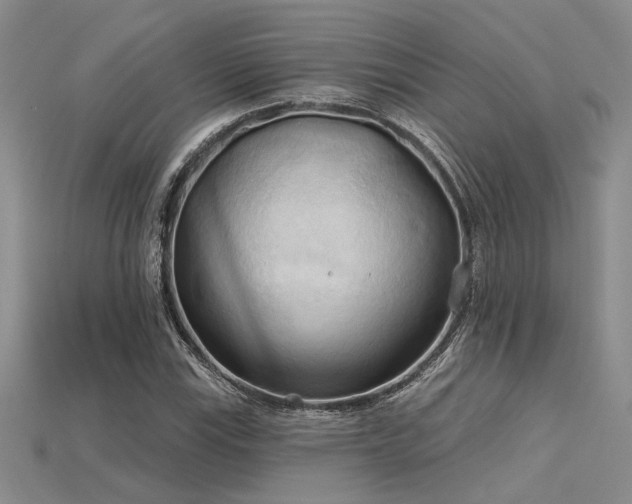 X0000115791115200911131302
