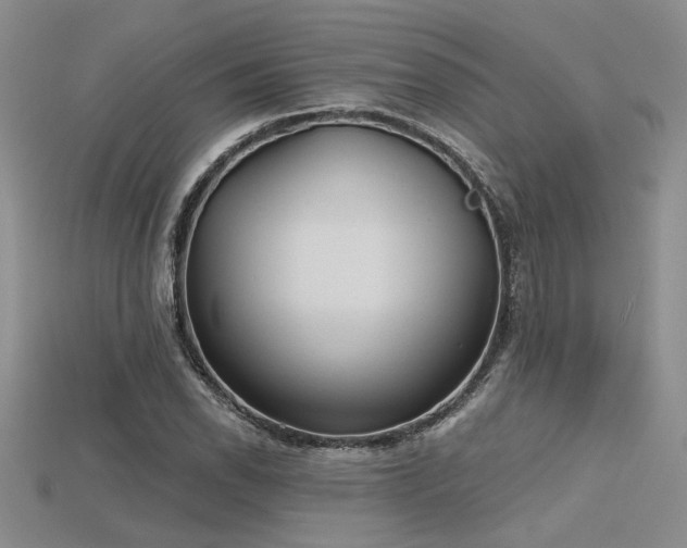 X0000115791118200911131302