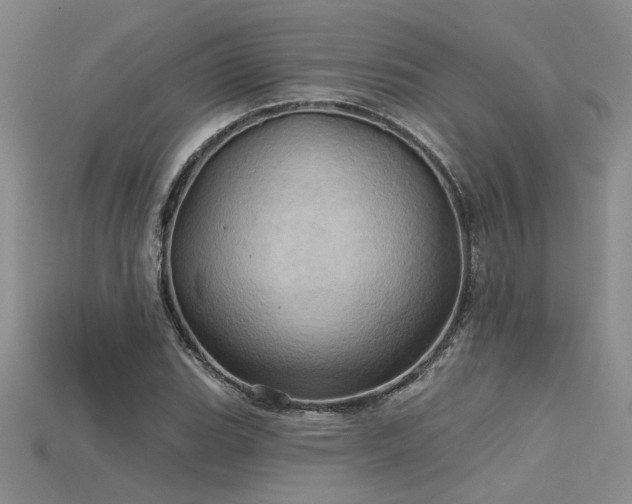 X0000115791119200911131302