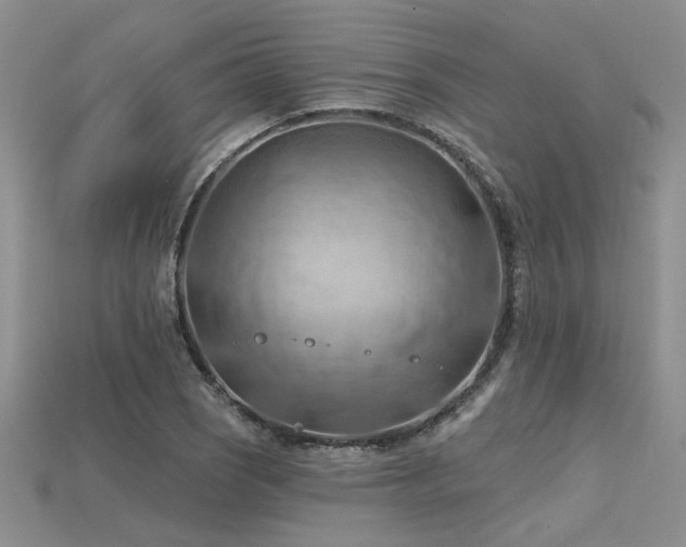 X0000115791121200911131302