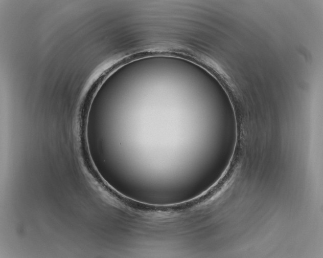 X0000115791122200911131302