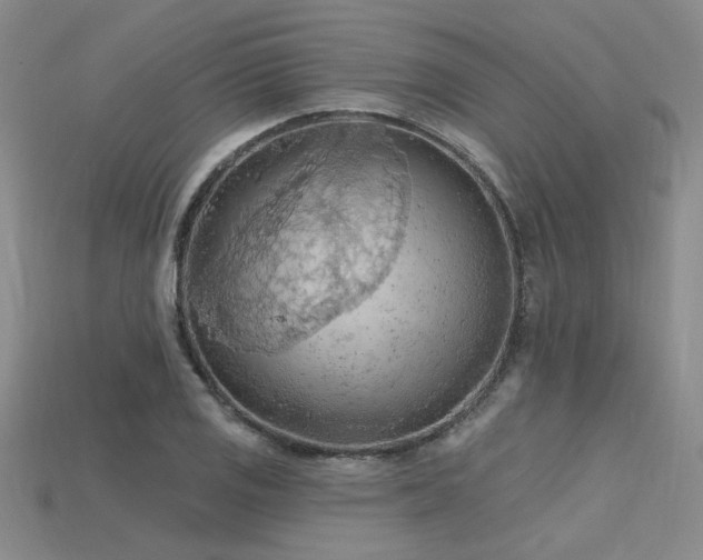 X0000115791125200911131303