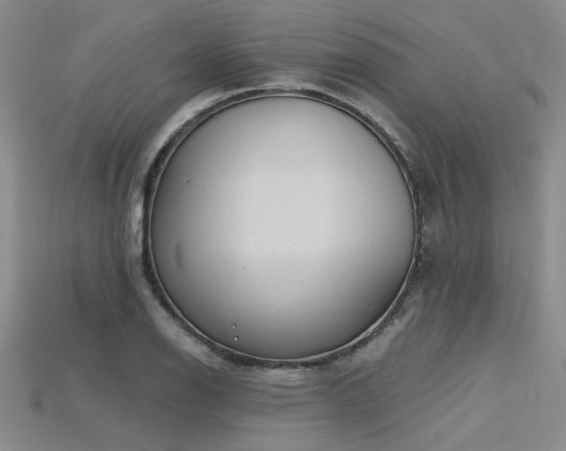X0000115791126200911131303