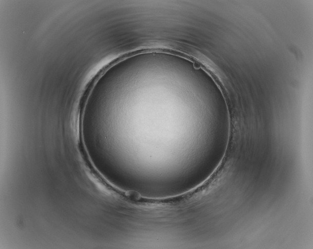 X0000115791127200911131303