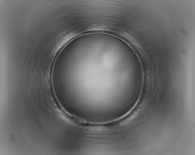 X0000115791129200911131303