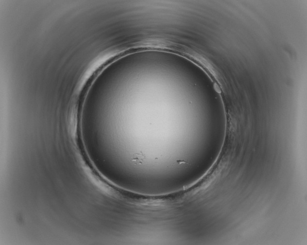 X0000115791131200911131303