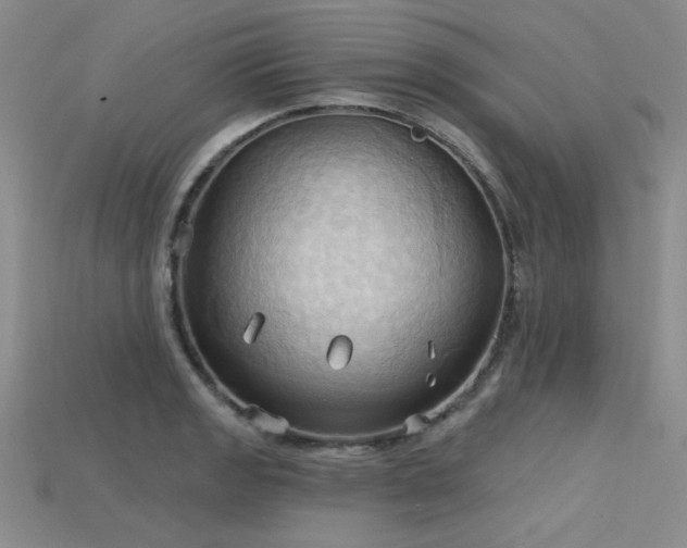 X0000115791133200911131303