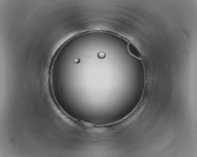 X0000115791134200911131303
