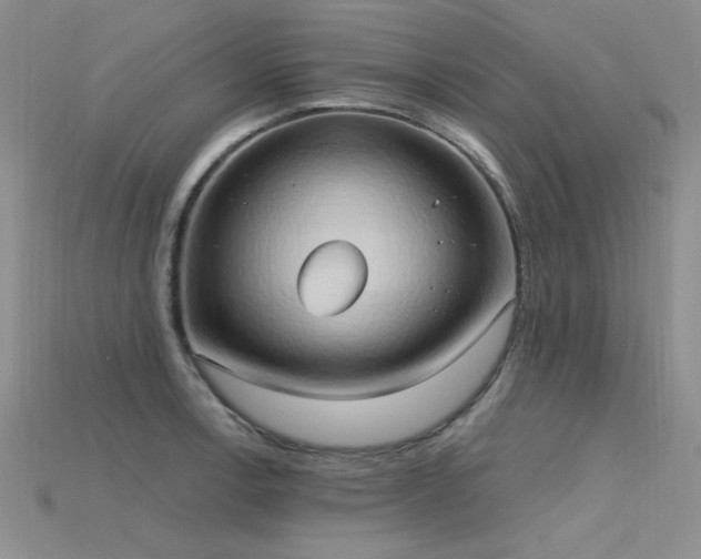 X0000115791138200911131303