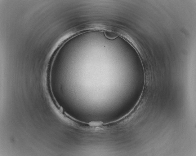 X0000115791139200911131303