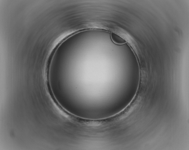 X0000115791141200911131303