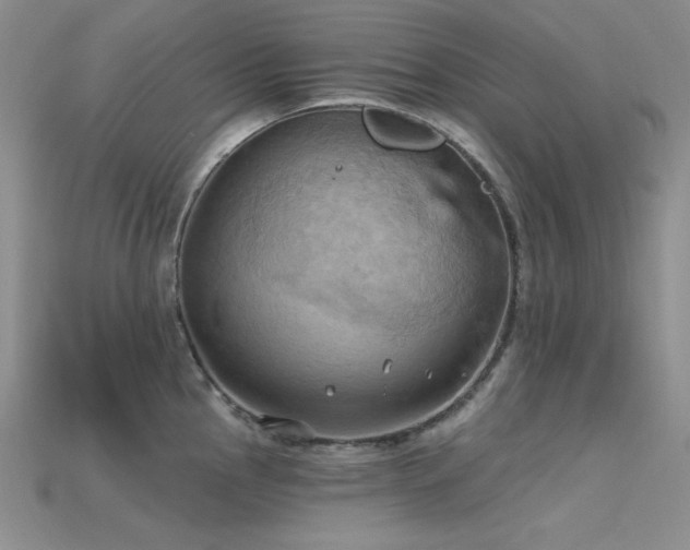 X0000115791145200911131303