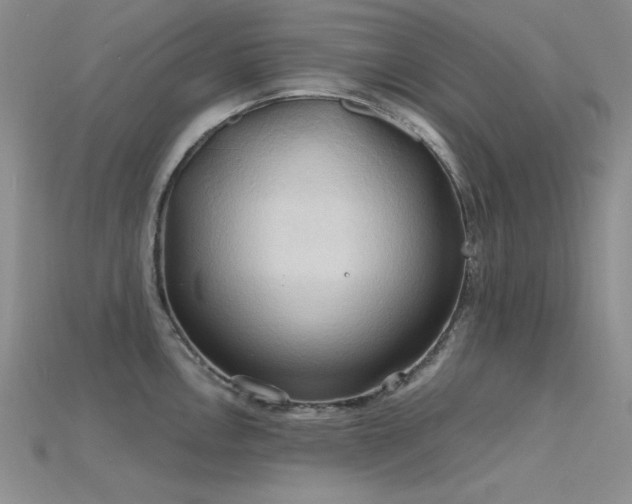 X0000115791146200911131303