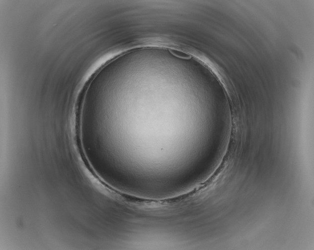 X0000115791147200911131303