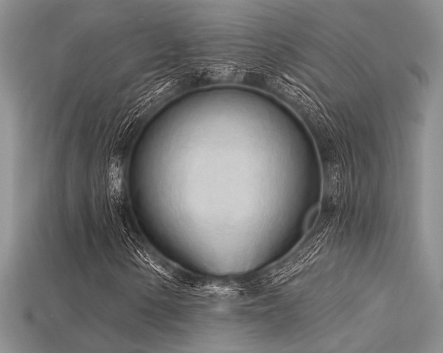 X0000115791154200911131302