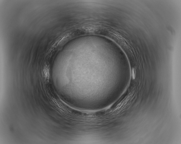 X0000115791155200911131302