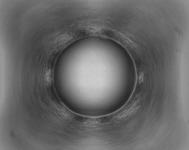 X0000115791156200911131302