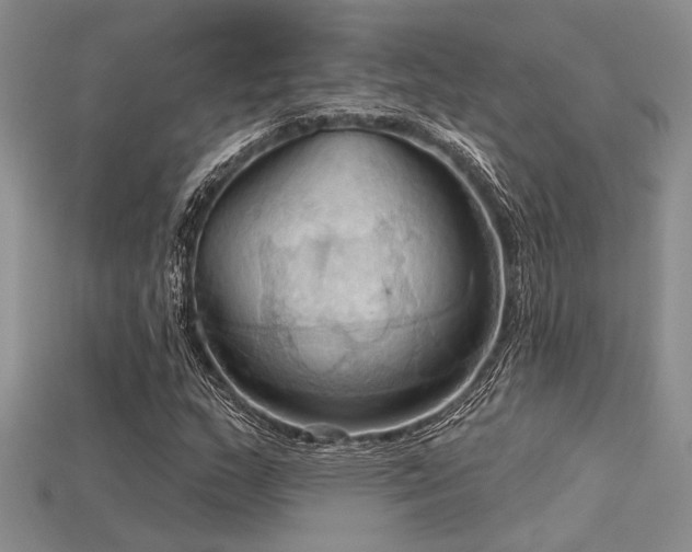 X0000115791159200911131302