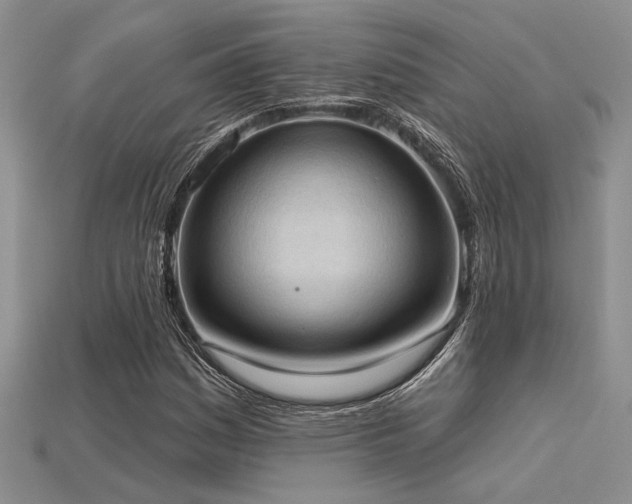 X0000115791161200911131302