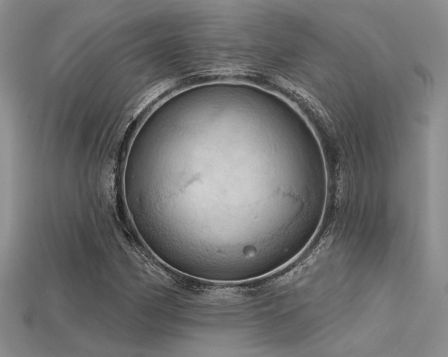 X0000115791162200911131302