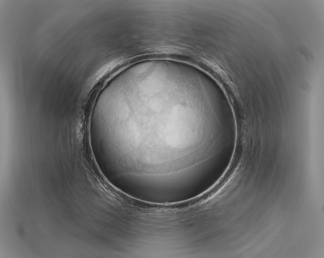 X0000115791163200911131302