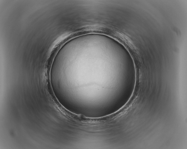 X0000115791164200911131302