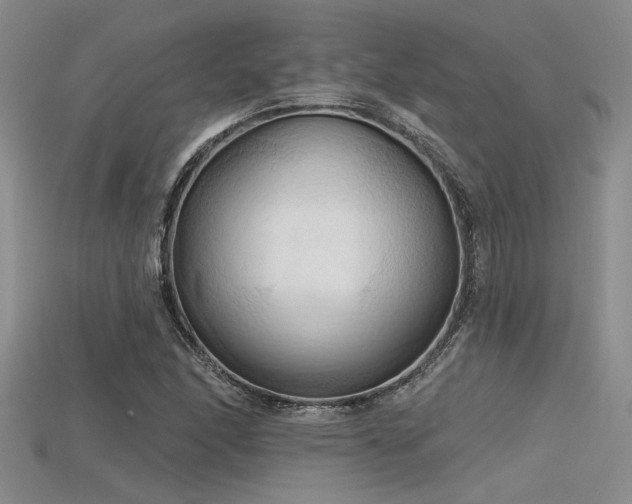 X0000115791166200911131302