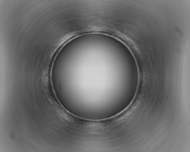 X0000115791170200911131302