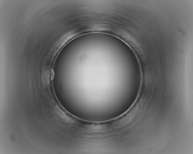 X0000115791177200911131302