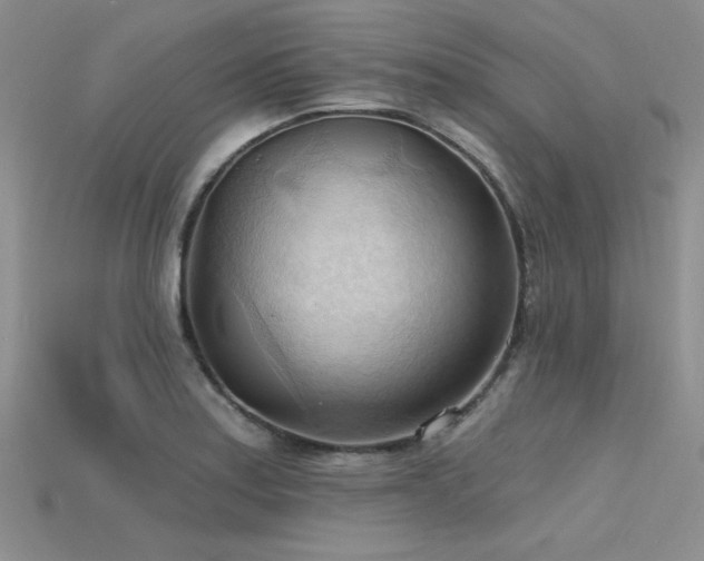 X0000115791179200911131302