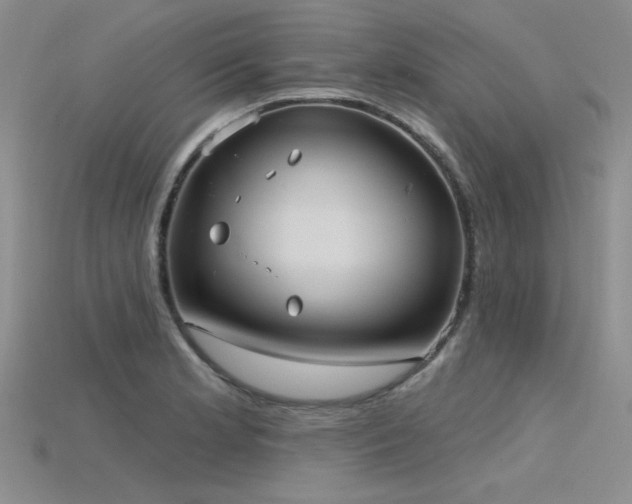 X0000115791181200911131302