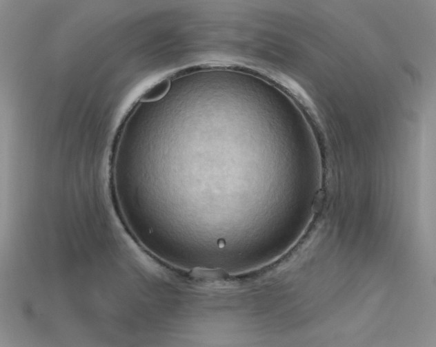 X0000115791183200911131302