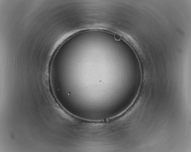X0000115791184200911131302