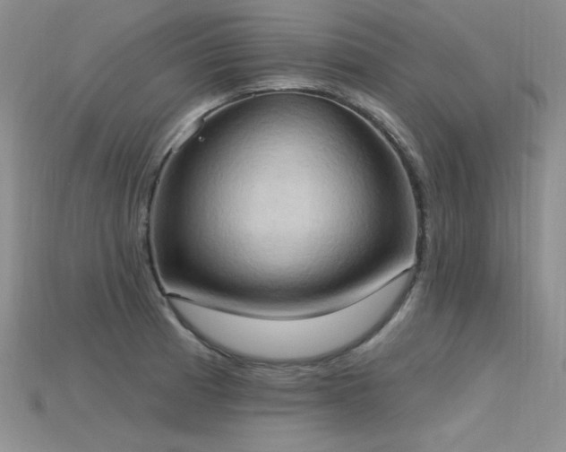 X0000115791185200911131302