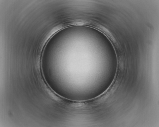 X0000115791186200911131302